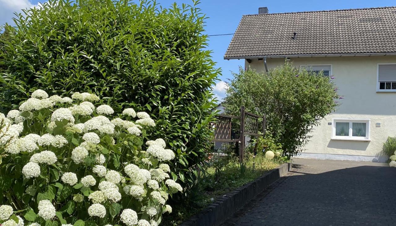 Fewo Sonnenlay - Apartments An Der Mosel Brauneberg Extérieur photo